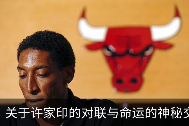 关于许家印的对联与命运的神秘交织